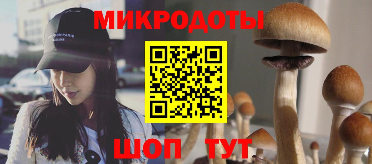 Галлюциногенные грибы GOLDEN TEACHER  Галлюциногенные грибы GOLDEN TEACHER  Вход с VPN  Белорецк 